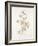 French Botanicals III-Rikki Drotar-Framed Giclee Print