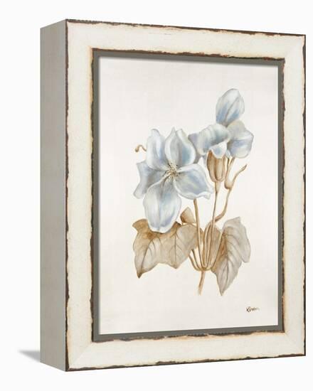 French Botanicals IV-Rikki Drotar-Framed Premier Image Canvas