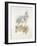 French Botanicals IV-Rikki Drotar-Framed Giclee Print