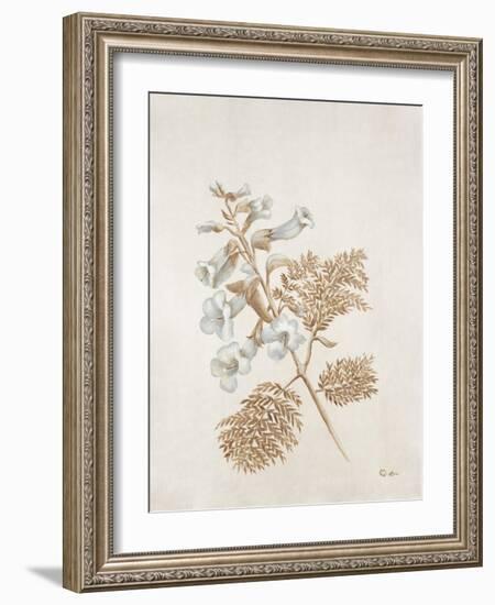 French Botanicals V-Rikki Drotar-Framed Giclee Print