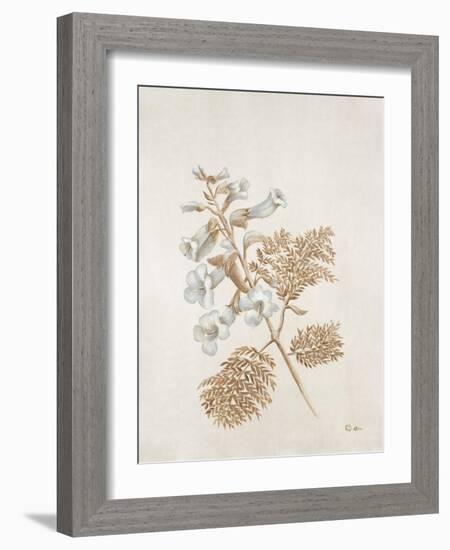 French Botanicals V-Rikki Drotar-Framed Giclee Print