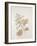 French Botanicals V-Rikki Drotar-Framed Giclee Print