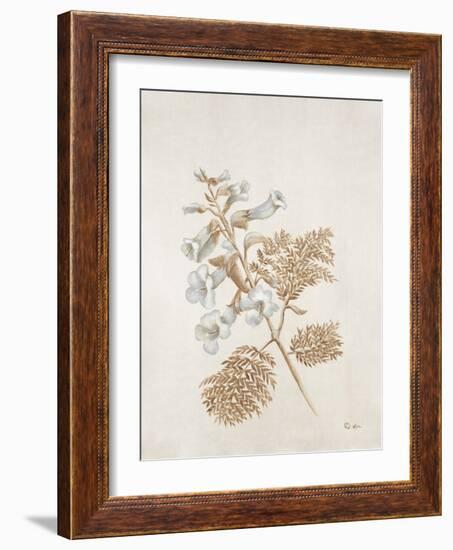 French Botanicals V-Rikki Drotar-Framed Giclee Print