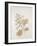 French Botanicals V-Rikki Drotar-Framed Giclee Print