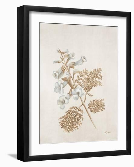 French Botanicals V-Rikki Drotar-Framed Giclee Print