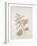 French Botanicals V-Rikki Drotar-Framed Giclee Print