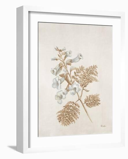 French Botanicals V-Rikki Drotar-Framed Giclee Print