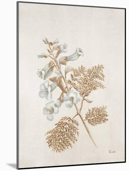 French Botanicals V-Rikki Drotar-Mounted Giclee Print