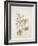 French Botanicals V-Rikki Drotar-Framed Giclee Print