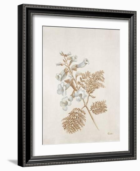 French Botanicals V-Rikki Drotar-Framed Giclee Print