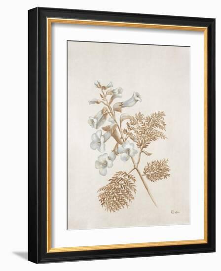 French Botanicals V-Rikki Drotar-Framed Giclee Print