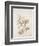 French Botanicals V-Rikki Drotar-Framed Giclee Print