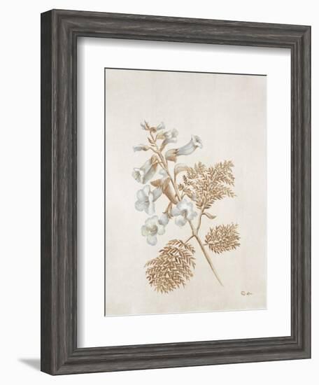 French Botanicals V-Rikki Drotar-Framed Giclee Print