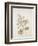 French Botanicals V-Rikki Drotar-Framed Giclee Print