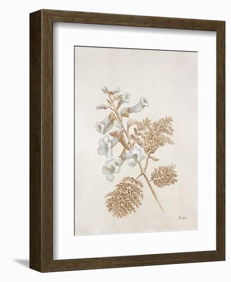 French Botanicals V-Rikki Drotar-Framed Giclee Print