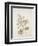 French Botanicals V-Rikki Drotar-Framed Giclee Print