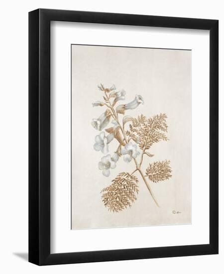 French Botanicals V-Rikki Drotar-Framed Giclee Print