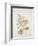 French Botanicals V-Rikki Drotar-Framed Giclee Print