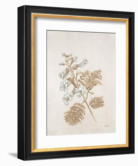 French Botanicals V-Rikki Drotar-Framed Giclee Print