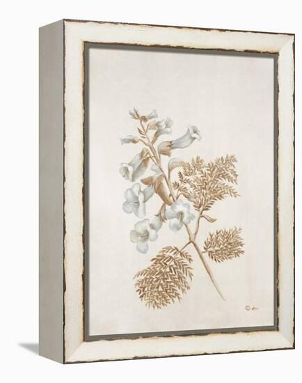 French Botanicals V-Rikki Drotar-Framed Premier Image Canvas