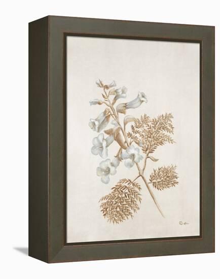 French Botanicals V-Rikki Drotar-Framed Premier Image Canvas