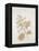 French Botanicals V-Rikki Drotar-Framed Premier Image Canvas