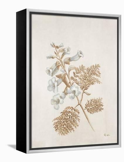French Botanicals V-Rikki Drotar-Framed Premier Image Canvas