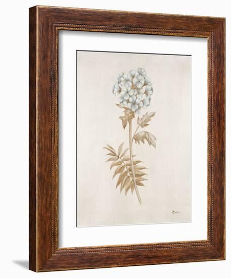 French Botanicals VI-Rikki Drotar-Framed Giclee Print