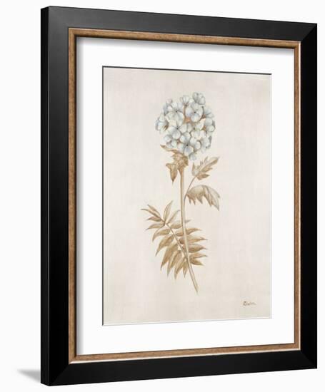 French Botanicals VI-Rikki Drotar-Framed Giclee Print