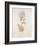 French Botanicals VI-Rikki Drotar-Framed Giclee Print