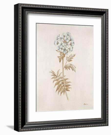 French Botanicals VI-Rikki Drotar-Framed Giclee Print