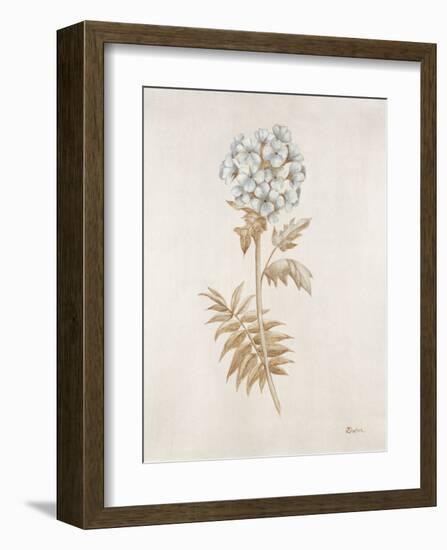 French Botanicals VI-Rikki Drotar-Framed Giclee Print