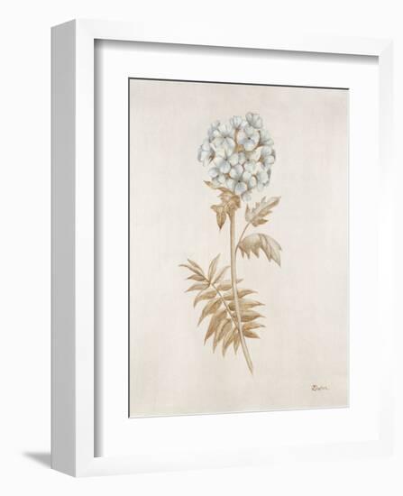 French Botanicals VI-Rikki Drotar-Framed Giclee Print