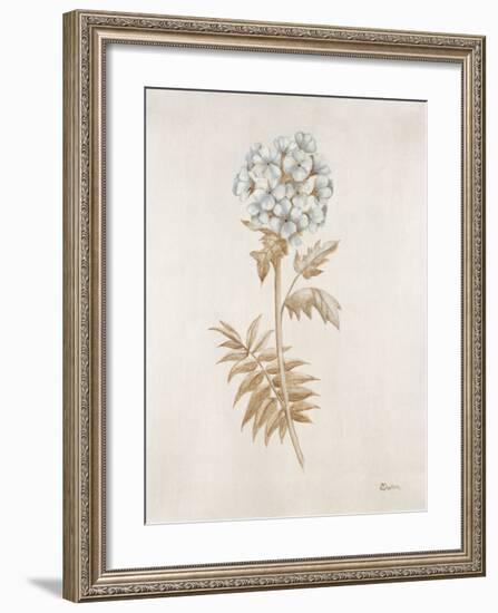 French Botanicals VI-Rikki Drotar-Framed Giclee Print