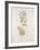 French Botanicals VI-Rikki Drotar-Framed Giclee Print