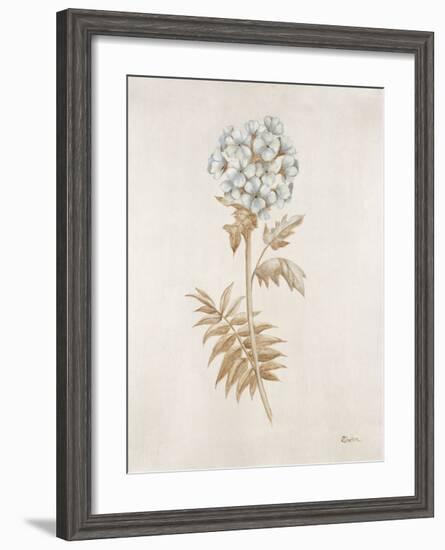 French Botanicals VI-Rikki Drotar-Framed Giclee Print