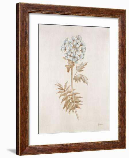 French Botanicals VI-Rikki Drotar-Framed Giclee Print