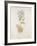 French Botanicals VI-Rikki Drotar-Framed Giclee Print