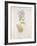 French Botanicals VI-Rikki Drotar-Framed Giclee Print