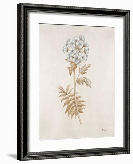 French Botanicals VI-Rikki Drotar-Framed Giclee Print