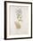 French Botanicals VI-Rikki Drotar-Framed Giclee Print