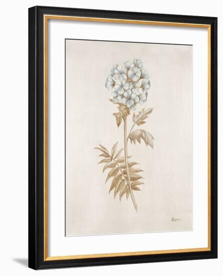 French Botanicals VI-Rikki Drotar-Framed Giclee Print