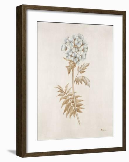 French Botanicals VI-Rikki Drotar-Framed Giclee Print