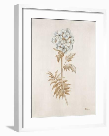 French Botanicals VI-Rikki Drotar-Framed Giclee Print