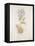 French Botanicals VI-Rikki Drotar-Framed Premier Image Canvas