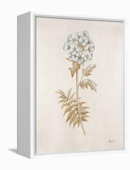 French Botanicals VI-Rikki Drotar-Framed Premier Image Canvas