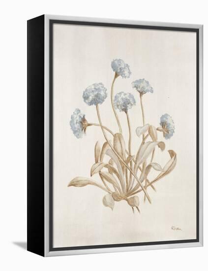 French Botanicals VII-Rikki Drotar-Framed Premier Image Canvas