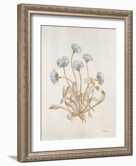 French Botanicals VII-Rikki Drotar-Framed Giclee Print