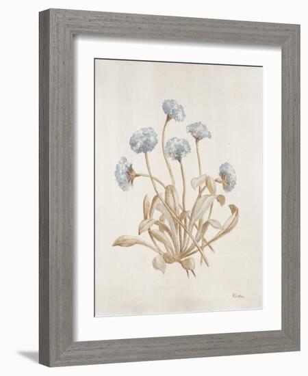 French Botanicals VII-Rikki Drotar-Framed Giclee Print