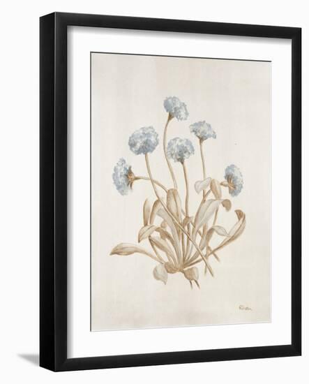 French Botanicals VII-Rikki Drotar-Framed Giclee Print